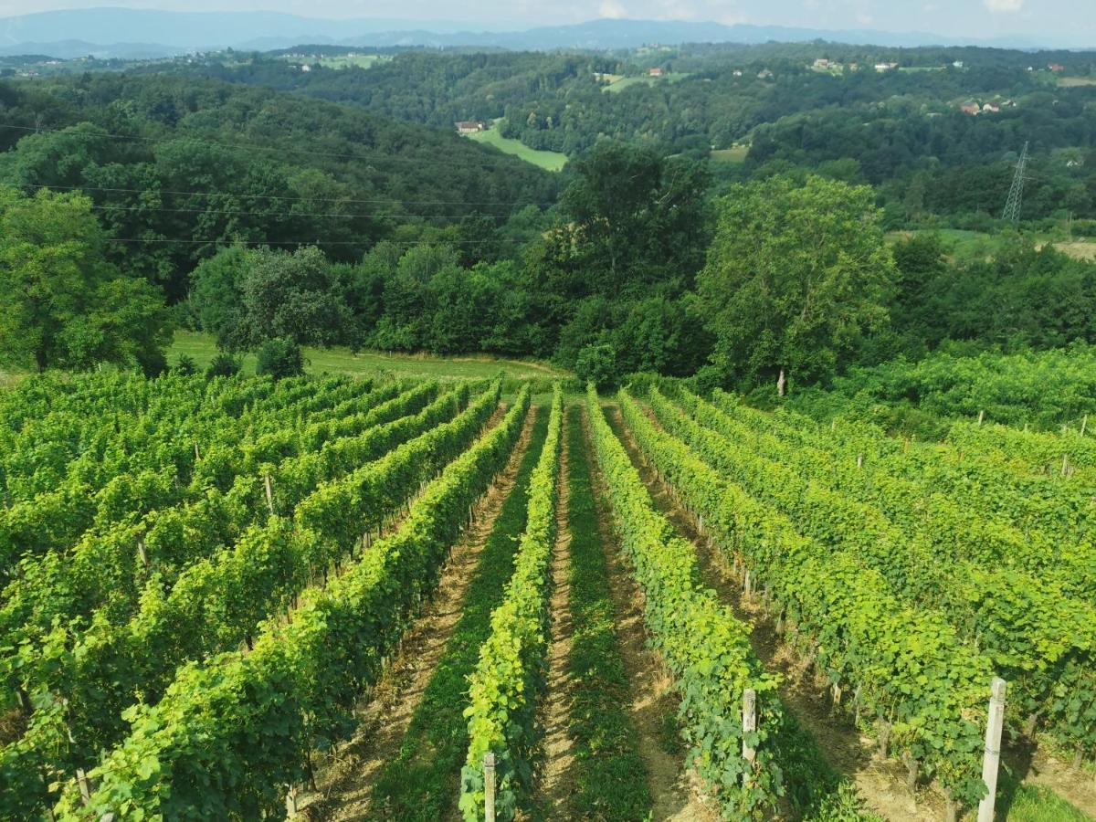 Sobe, Rooms B&B - Vina Kauran Zgornji Jakobski Dol Bagian luar foto